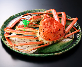 【国産】天然タグ付きずわい蟹